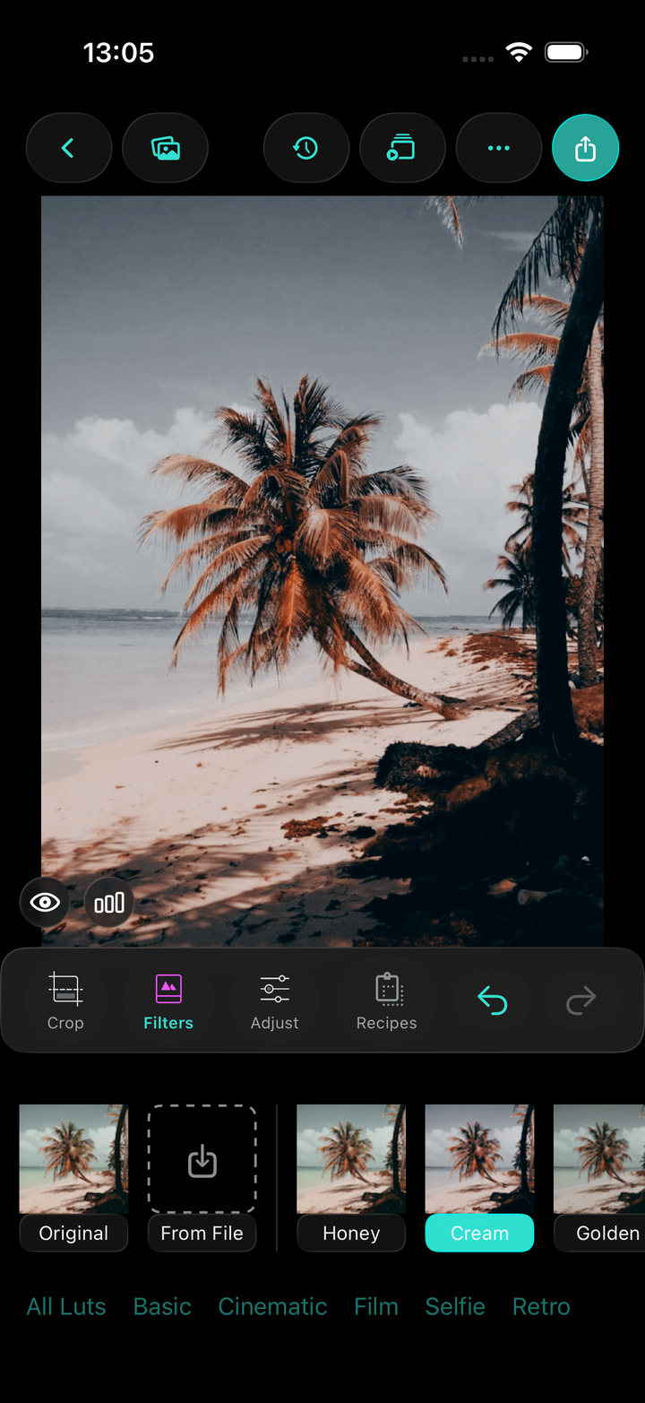 Filmode editor: grading a photo with film LUT filters