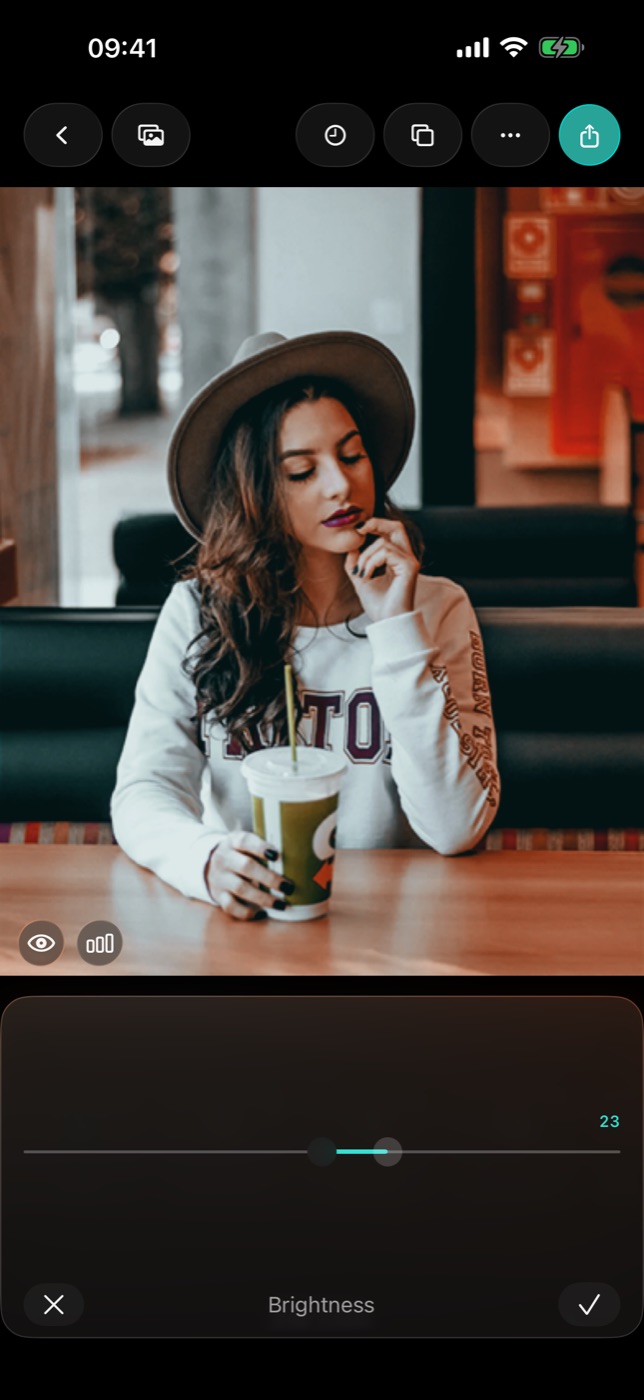 A single adjustment open, full-width, with the value readout.