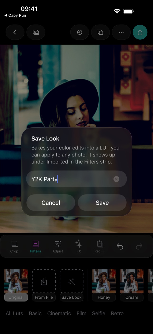 The Save Look sheet — pick a name, tap Save, and the grade is baked into a LUT.