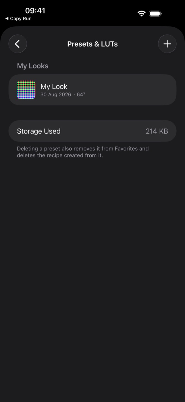 My Looks in Settings — every custom LUT, its date and its grid size.