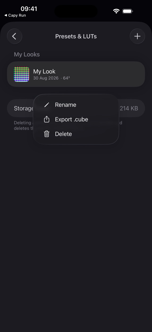 Long-press an entry to rename, export as .cube, or delete.