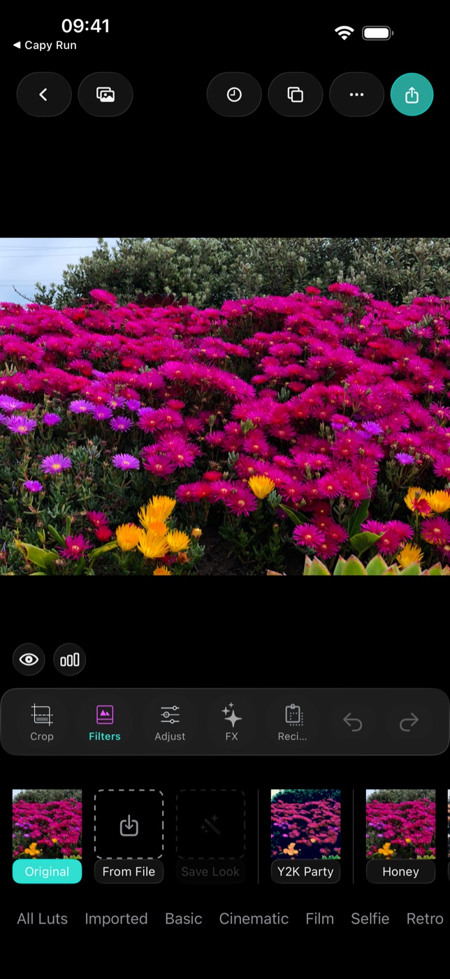 No edits yet, so Save Look stays dimmed until you change a colour.