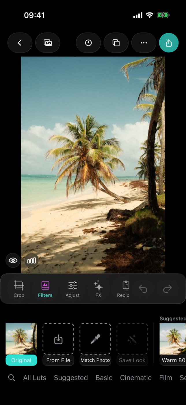 The Filters strip in the Filmode editor, with the Match Photo tile next to From File and Save Look.