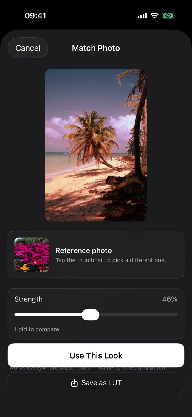 The same match with Strength lowered to 46%: the purple cast is softer and more of the original colour shows through.