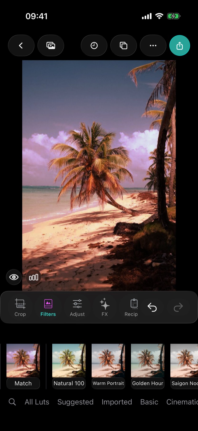 Back in the editor after saving: the Match look is selected at the start of the Filters strip, with the Imported collection chip below.
